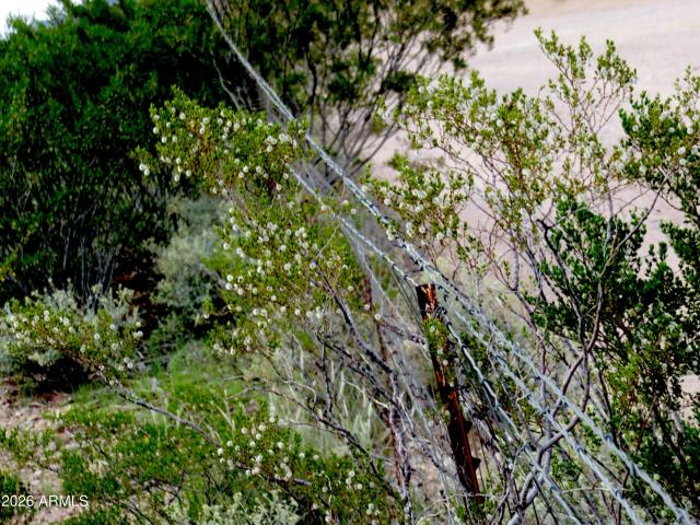 Land for sale in Cochise, Arizona