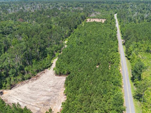 Land for sale in Pitkin, Louisiana