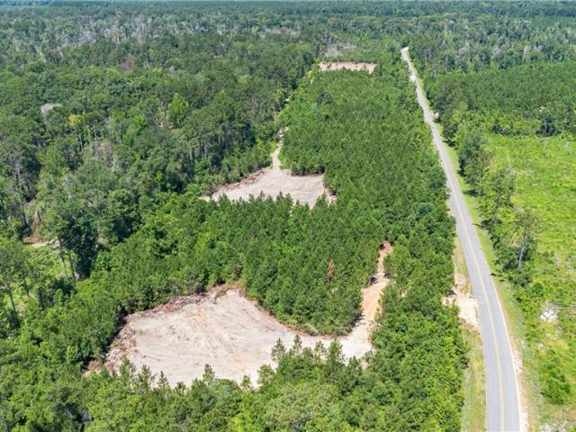 Land for sale in Pitkin, Vernon Parish