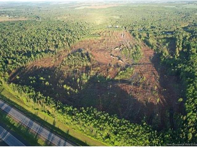 Land for sale in Grand Falls, New Brunswick