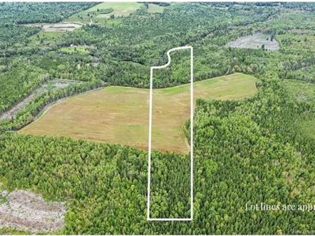 Land for sale in Acadie Siding, New Brunswick