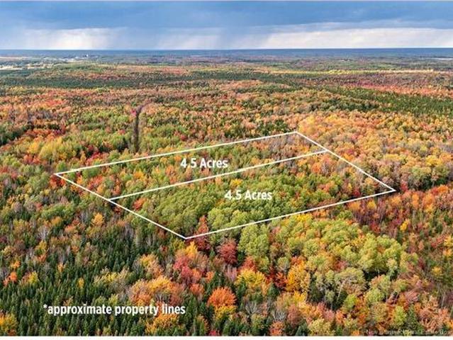 Land for sale in Canaan Station, New Brunswick