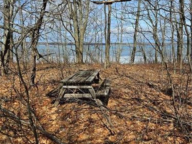 Land for sale in Waterborough, New Brunswick