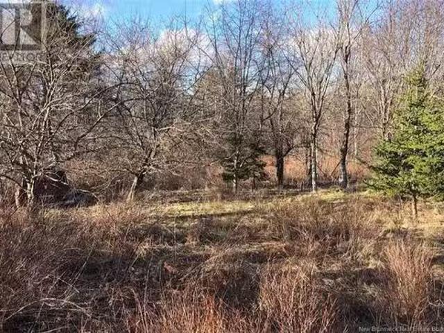 House for sale in Charlotte, New Brunswick