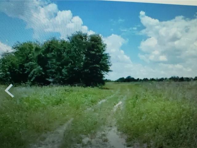 Land for sale in Suwannee, Florida