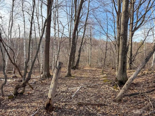 Land for sale in Mohawk, Michigan