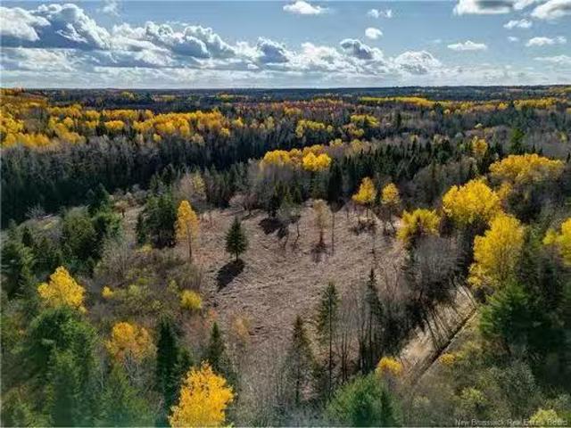 House for sale in New Brunswick