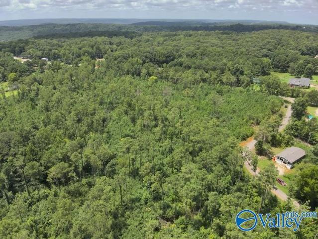 Land for sale in Somerville, Alabama