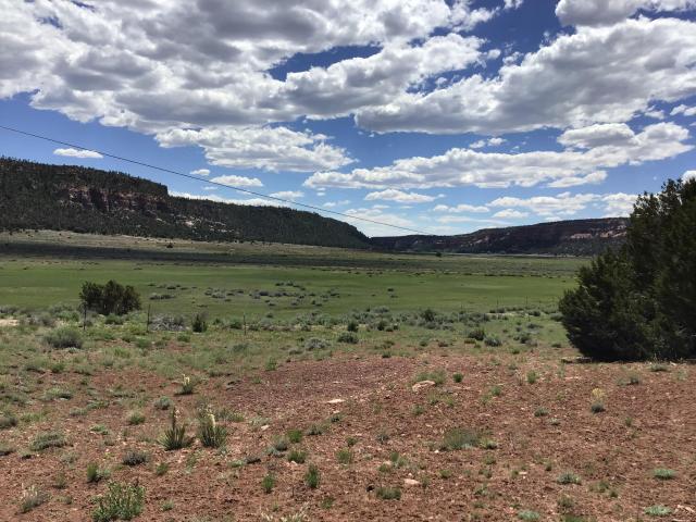 Land for sale in Ramah, New Mexico