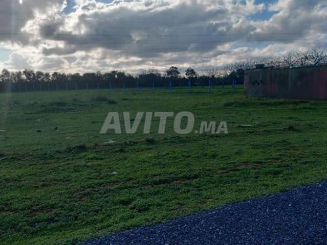 Propriété vente à El Menzeh
