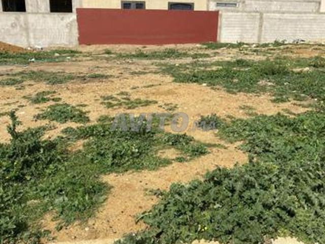 Propriété vente à Sidi Allal El Bahraoui