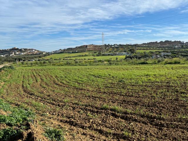 Terrain vente à Nabeul, Beni Khalled