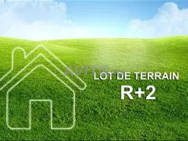 Propriété vente à Sidi Allal El Bahraoui
