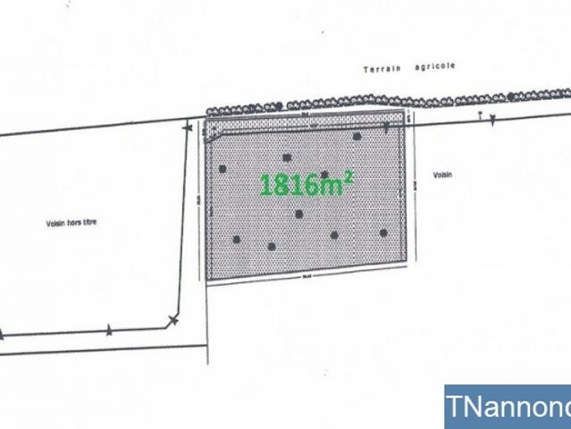 Terrain location