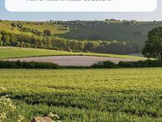 Propriété vente à Sidi Allal El Bahraoui