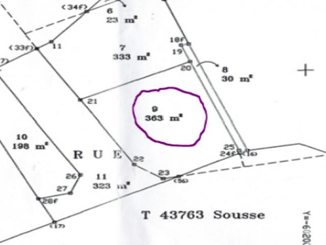 Terrain location