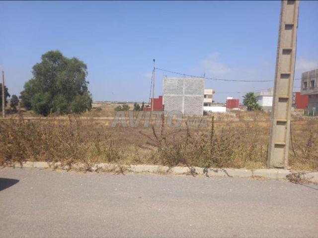 Propriété vente à Sidi Allal El Bahraoui