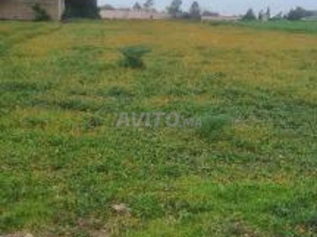 Propriété vente à Bouskoura, Gharb-Chrarda-Beni Hssen