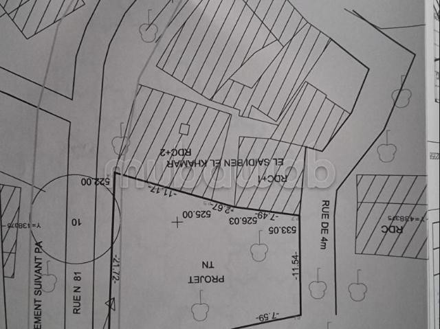 Terrain vente à Taounate