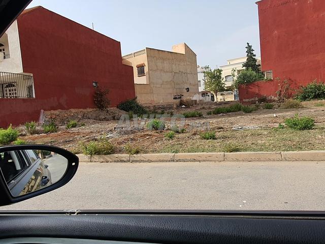 Propriété vente à Saida