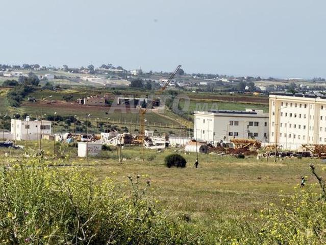Propriété vente à Tamesna