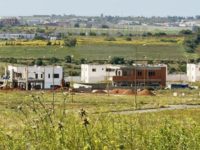 Propriété vente à Tamesna