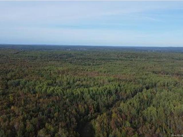 Land for sale in Harvey Station, New Brunswick