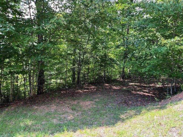 Land for sale in Hayesville