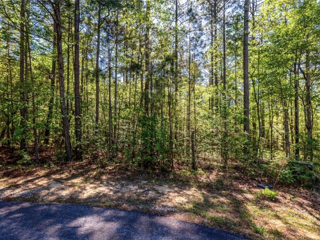 Land for sale in Salem, South Carolina