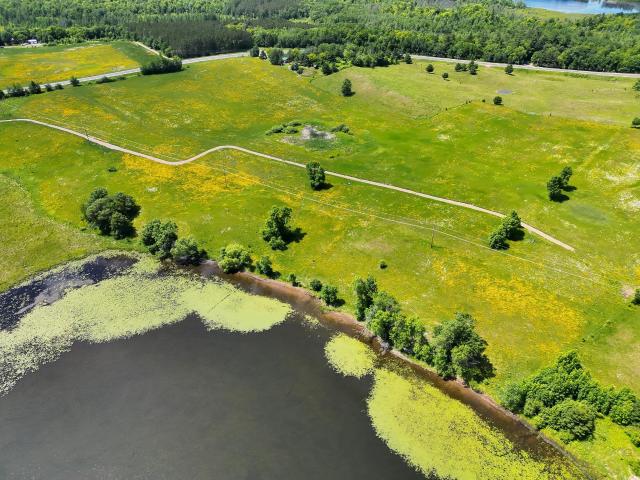 Land for sale in Minnesota