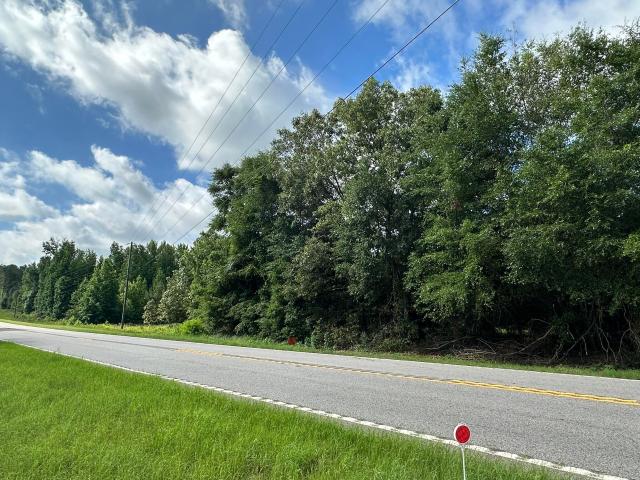Land for sale in Waynesboro, Georgia