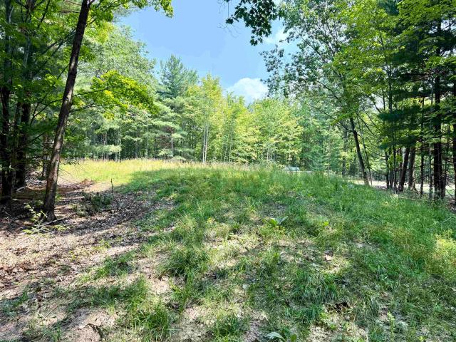 Land for sale in Michigan