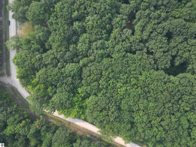 Land for sale in Michigan