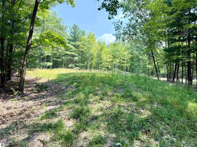 Land for sale in Michigan