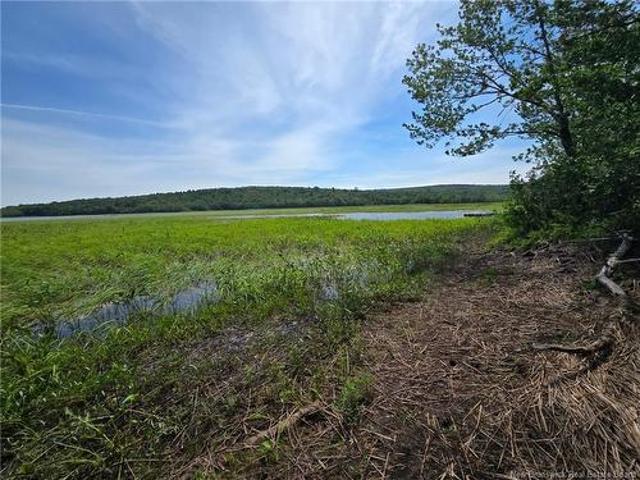 Land for sale in Albert, New Brunswick