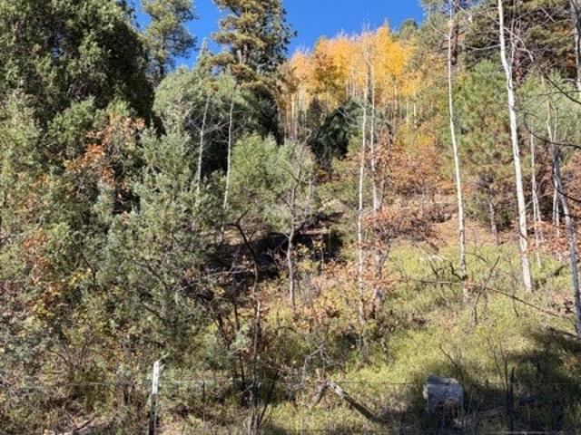 Land for sale in Pecos, New Mexico