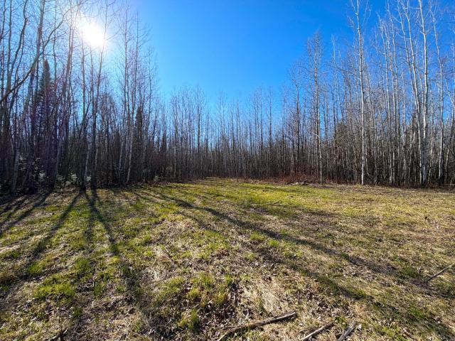 Land for sale in Littlefork, Minnesota