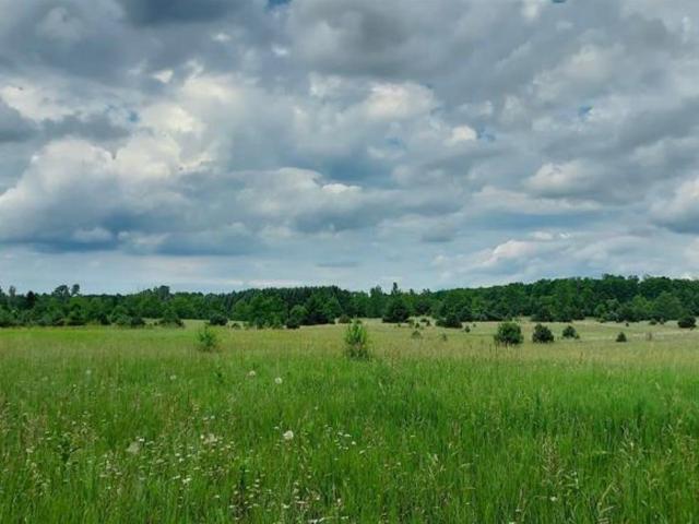 Land for sale in Paradise, Michigan