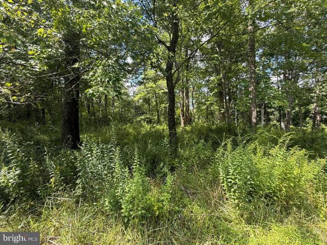 Land for sale in Pennsylvania