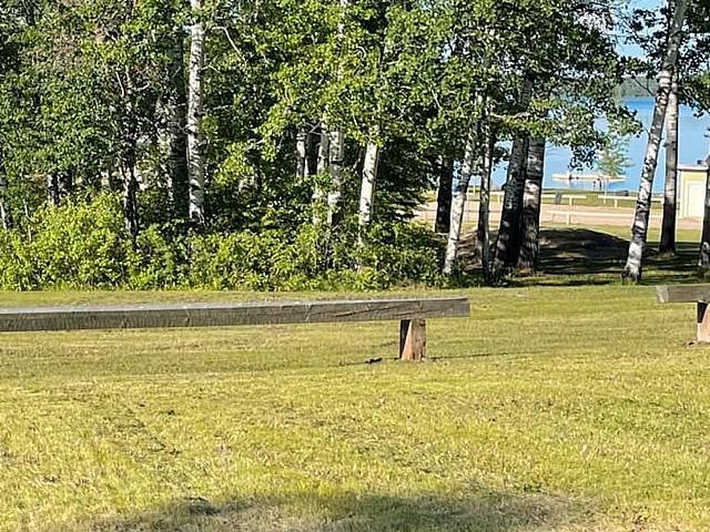 Land for sale in Bjorkdale, Saskatchewan
