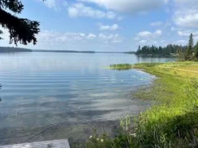 House for sale in Bridge Lake, Area L (Lone Butte/Interlakes)