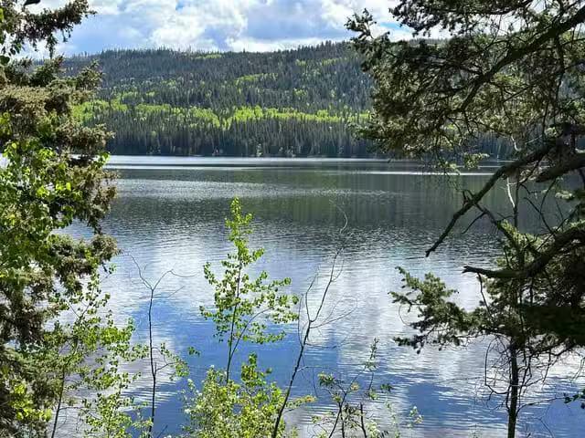 House for sale in Bridge Lake, Area L (Lone Butte/Interlakes)