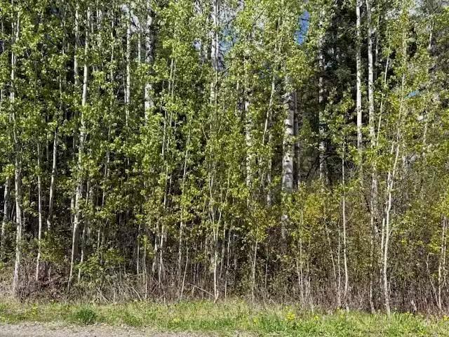House for sale in Caribou Hide, British Columbia