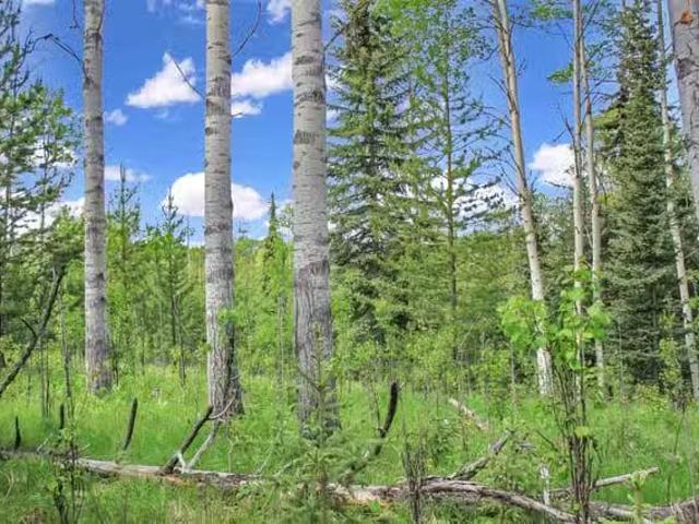 House for sale in Bridge Lake, Area L (Lone Butte/Interlakes)