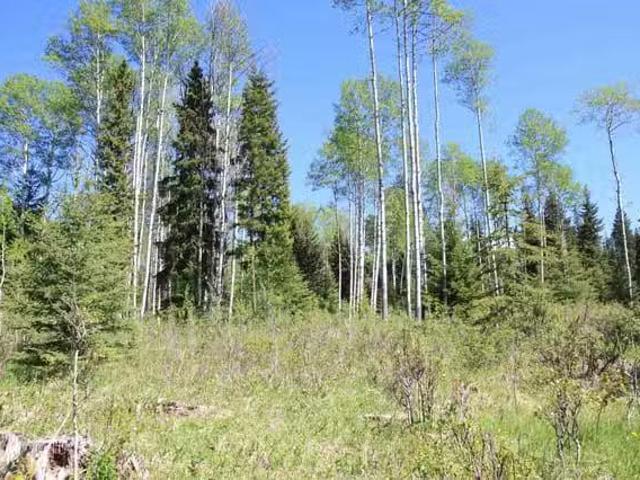 House for sale in Bridge Lake, Area L (Lone Butte/Interlakes)