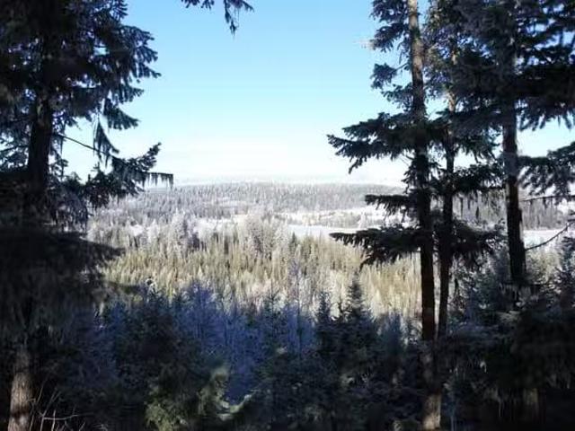 House for sale in Bridge Lake, Area L (Lone Butte/Interlakes)