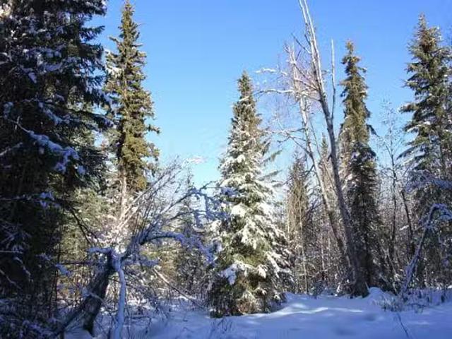 House for sale in Bridge Lake, Area L (Lone Butte/Interlakes)
