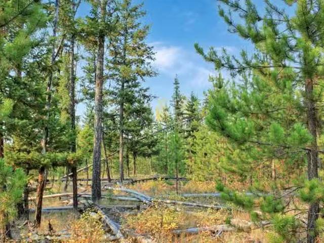 House for sale in Caribou Hide, British Columbia
