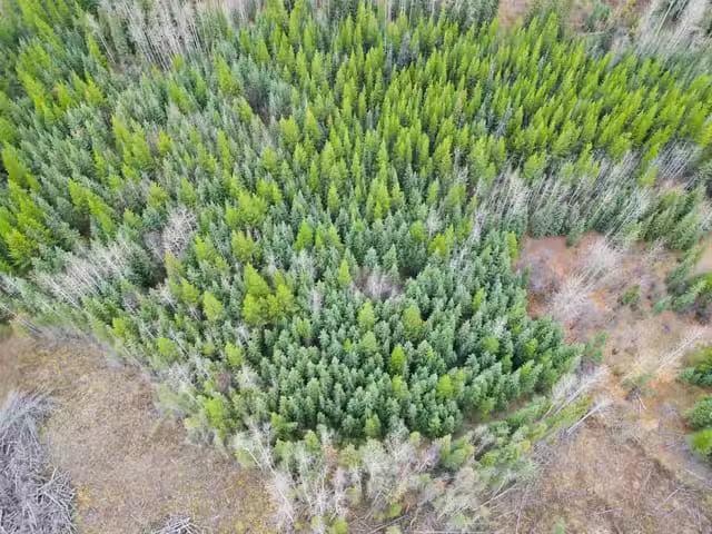 House for sale in Burns Lake, British Columbia
