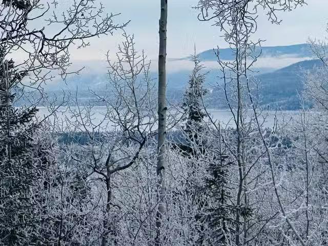 House for sale in Burns Lake, British Columbia